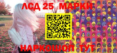 ешки Гай