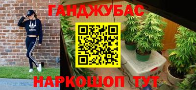 ешки Гай