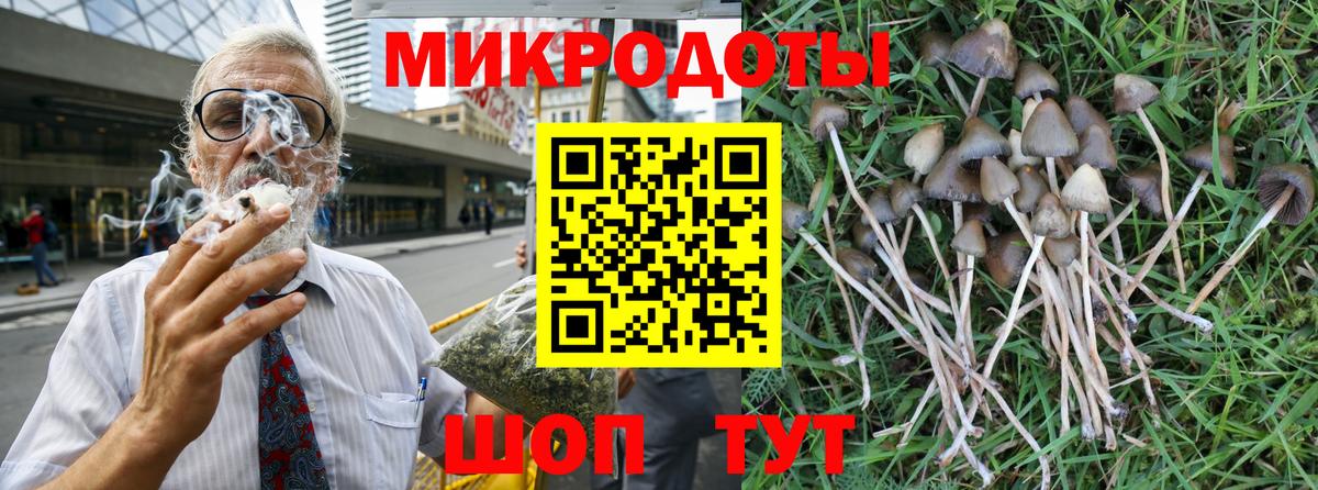 Мичуринск  Галлюциногенные грибы MAGIC MUSHROOMS  Вход с VPN  Галлюциногенные грибы мицелий 